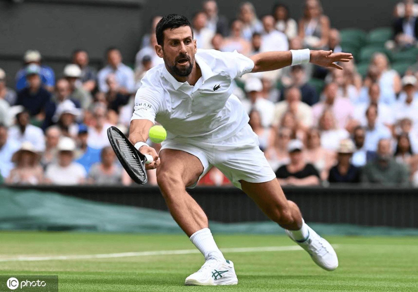 九游-关于德约科维奇关键节点战术调整，日本队带队取胜！的信息